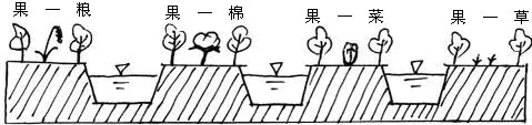 ʡһС˴ѧ201612Ծ -  - ǿ