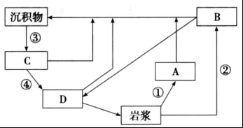 ʡеѧ20189½׶μ