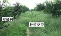 㽭ʡʮУ߶2018-2019ѧѧ