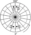 ʡʵѧ߶2018-2019ѧѧпԵ