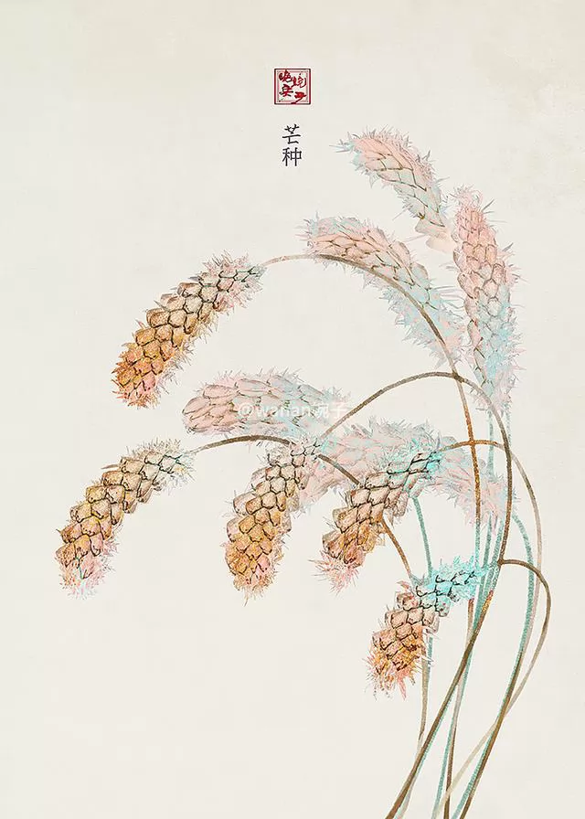 ʮĽ廭