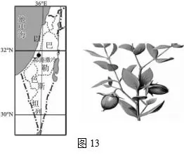 江苏省扬州中学2019届高三下学期开学考试(2