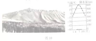 2019ѧ2·׿Ե
