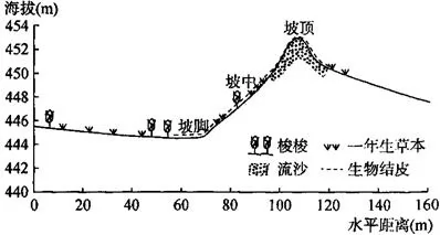 福建省莆田第一中学2019届高三上学期期末考试文综地理【解析】 福建省莆田第一中学2019届高三上学期期末考试文综地理【解析】