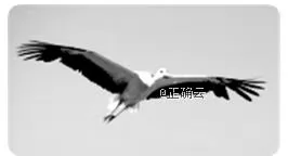 内蒙古包铁一中2019届高三2018—2019第二次月考地理【解析】 内蒙古包铁一中2019届高三2018—2019第二次月考地理【解析】