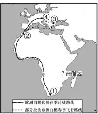 内蒙古包铁一中2019届高三2018—2019第二次月考地理【解析】 内蒙古包铁一中2019届高三2018—2019第二次月考地理【解析】