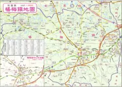  杨梅镇地图 