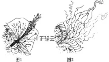 زĸ߼ѧ2019¿۵