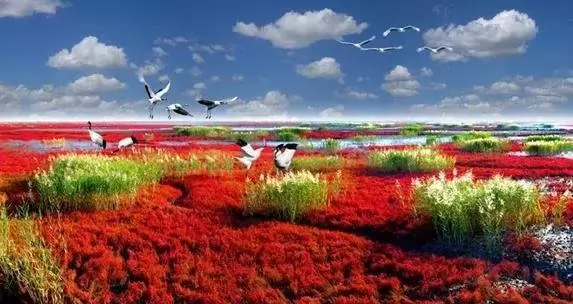 中国最美的10处沼泽湿地