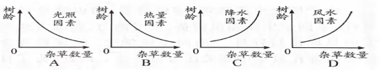 ʡһС޶е涫У߶2018-2019ѧѧĩ