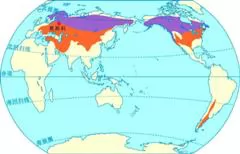 温带大陆性气候（含亚寒带针叶林气候）在全球的分布