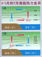 1�º�7�º�½��������