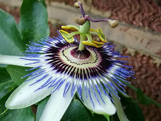 ����������������