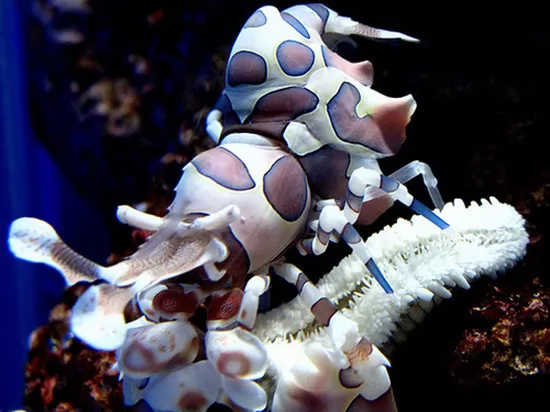 ����������������