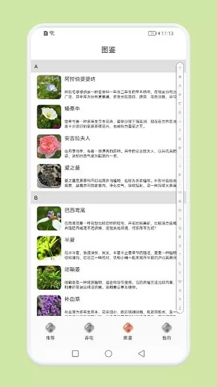 植物识别百科app下载