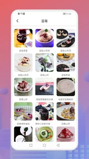 幸福生活的蓝莓餐菜谱 v1.1 安卓版 2