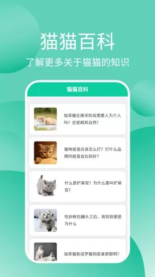 猫猫交流器app