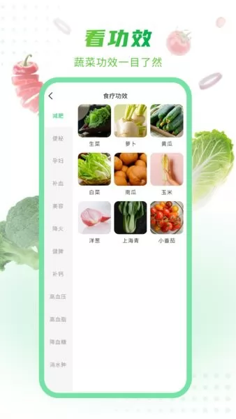 有机蔬菜大全 v1.0.2 安卓版 1