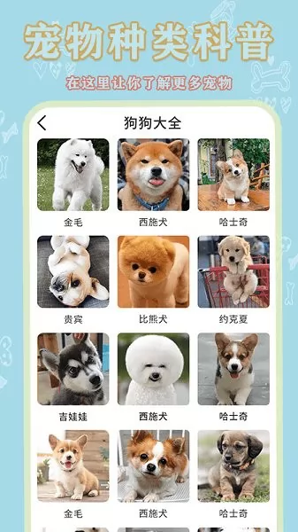宠物大全app v1.0.1 安卓版 2