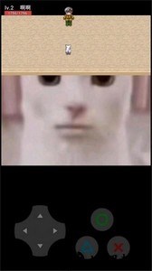 猫咪惊魂游戏 v23.01.191628 安卓版 3
