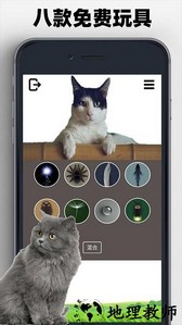 猫狗玩具模拟器手游 v1.0.5 安卓版 1
