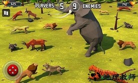 野兽动物王国战斗模拟器(Beast Animal Kingdom Battle) v1.0 安卓版 0