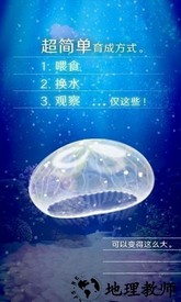 治愈的养成水母游戏中文版 v1.1 安卓版 0