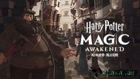 哈利波特魔法觉醒华为最新版 v1.20.202330 安卓版 0