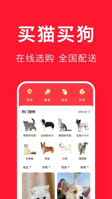 宠物宝app v3.3.8 安卓版 0