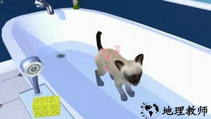 小猫历险记游戏 v300.1.53.3018 安卓版 1