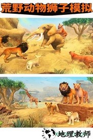 荒野动物狮子模拟九游版 v1.0.1 安卓版 0
