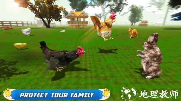母鸡模拟器小游戏 v1.09 安卓版 0