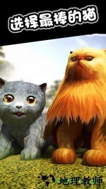 猫猫模拟游戏 v2.1.1 安卓版 2