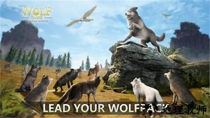 狼族崛起游戏 v1.0.14 安卓版 0