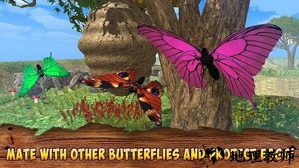 蝴蝶模拟器游戏 v1.0 安卓版 0