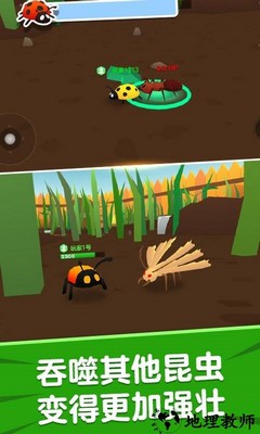 昆虫进化模拟器2游戏 v1.0 安卓版 0