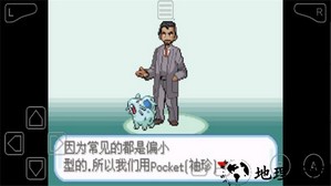 口袋妖怪宝可梦剑盾中文版 v1.0 安卓汉化版 3
