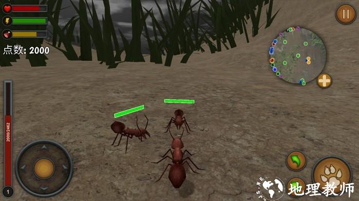 蚂蚁合并派对游戏 v306.1.0.3018 安卓版 2