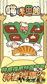 猫咪田园游戏 2.4.1 安卓版 2