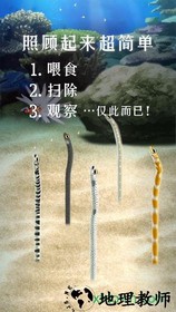养育花园鳗的治愈游戏最新版(斑鳝花园) v1.0 安卓版 2