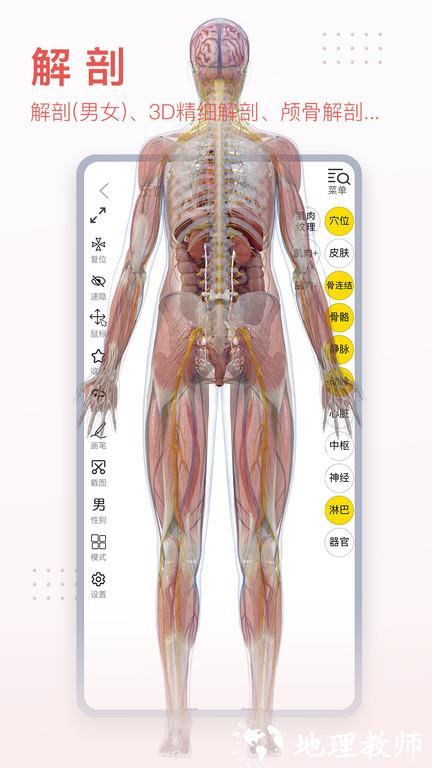 3dbody解剖图手机版 v8.7.51 安卓官方版 4