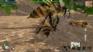 蜜蜂生存模拟器手游 v1.0 安卓版 3