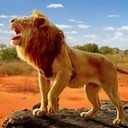 动物生存模拟器之狮子