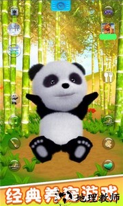 会说话的熊猫游戏 v2.1 安卓版 0