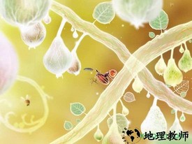 植物精灵中文版(botanicula) v1.0.62 安卓版 3