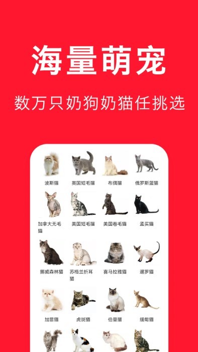 宠物宝app v3.3.8 安卓版 2