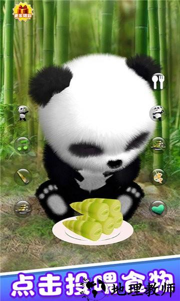会说话的熊猫游戏 v2.1 安卓版 1