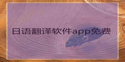 日语翻译软件app推荐_日语翻译软件免费版下载_日语拍照翻译app大全