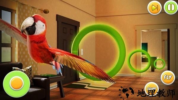 宠物鹦鹉模拟器游戏 v1.0.0 安卓版 1