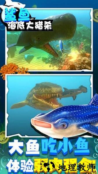 鲨鱼海底大猎杀游戏 v1.1 安卓版 1